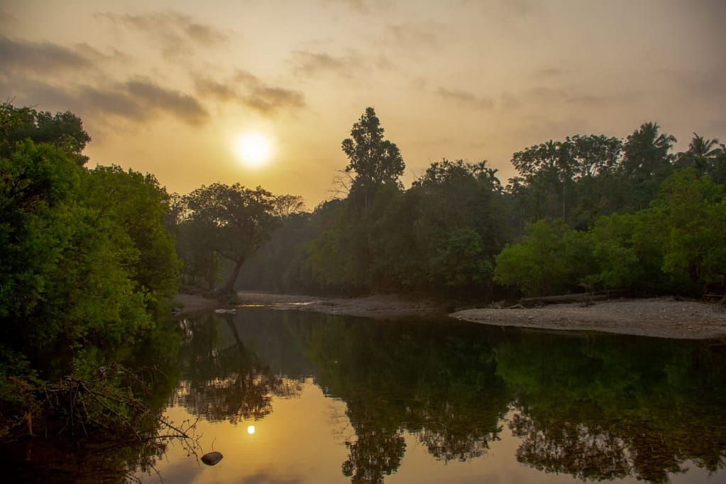 River inside Aralam Wildlife Sanctuary